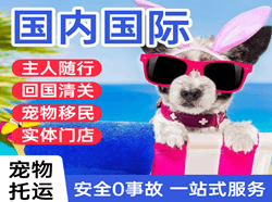 百色巴马机场货运国际宠物托运 【国